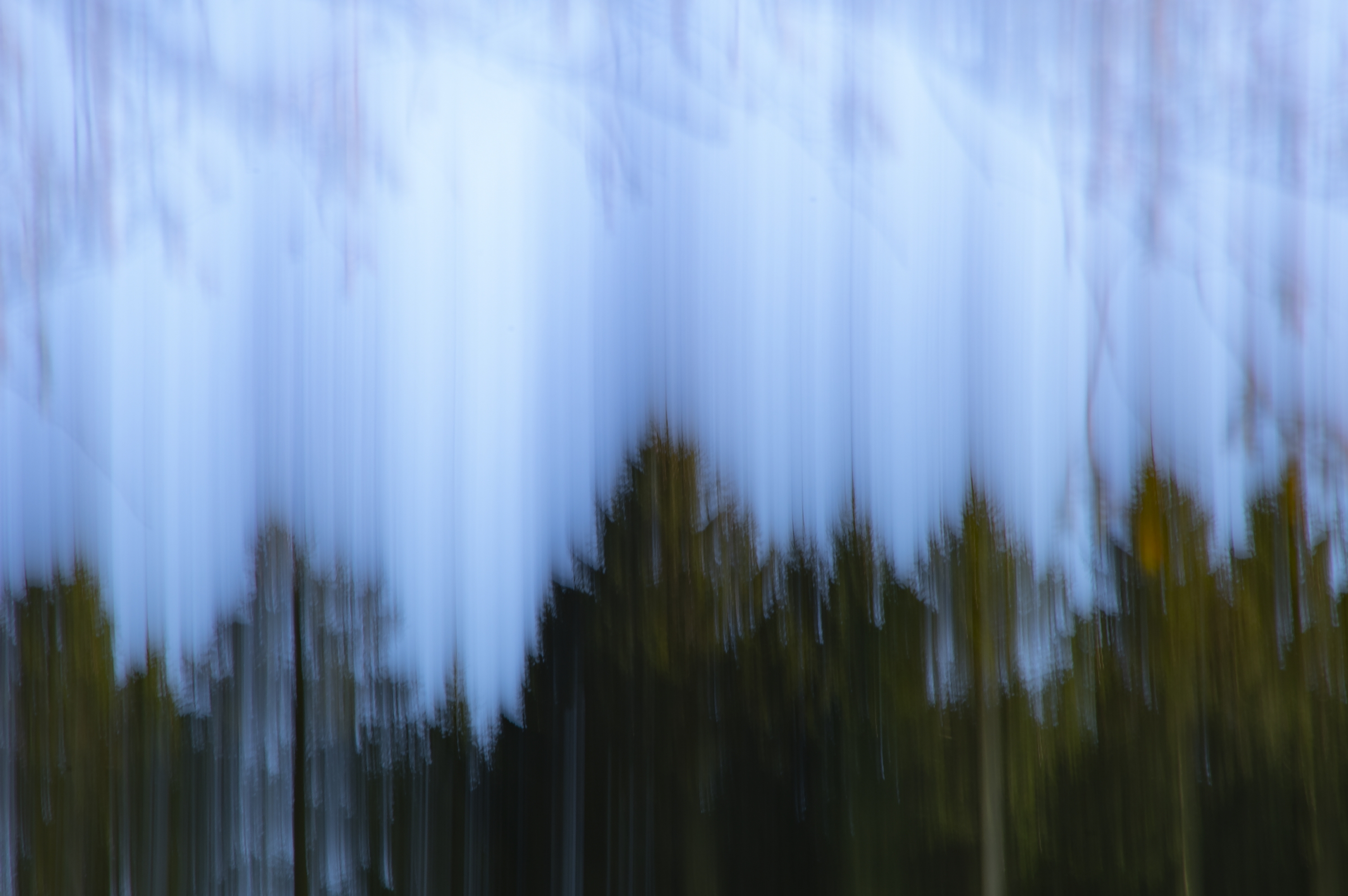 ... And The Trees Fell - main photograph