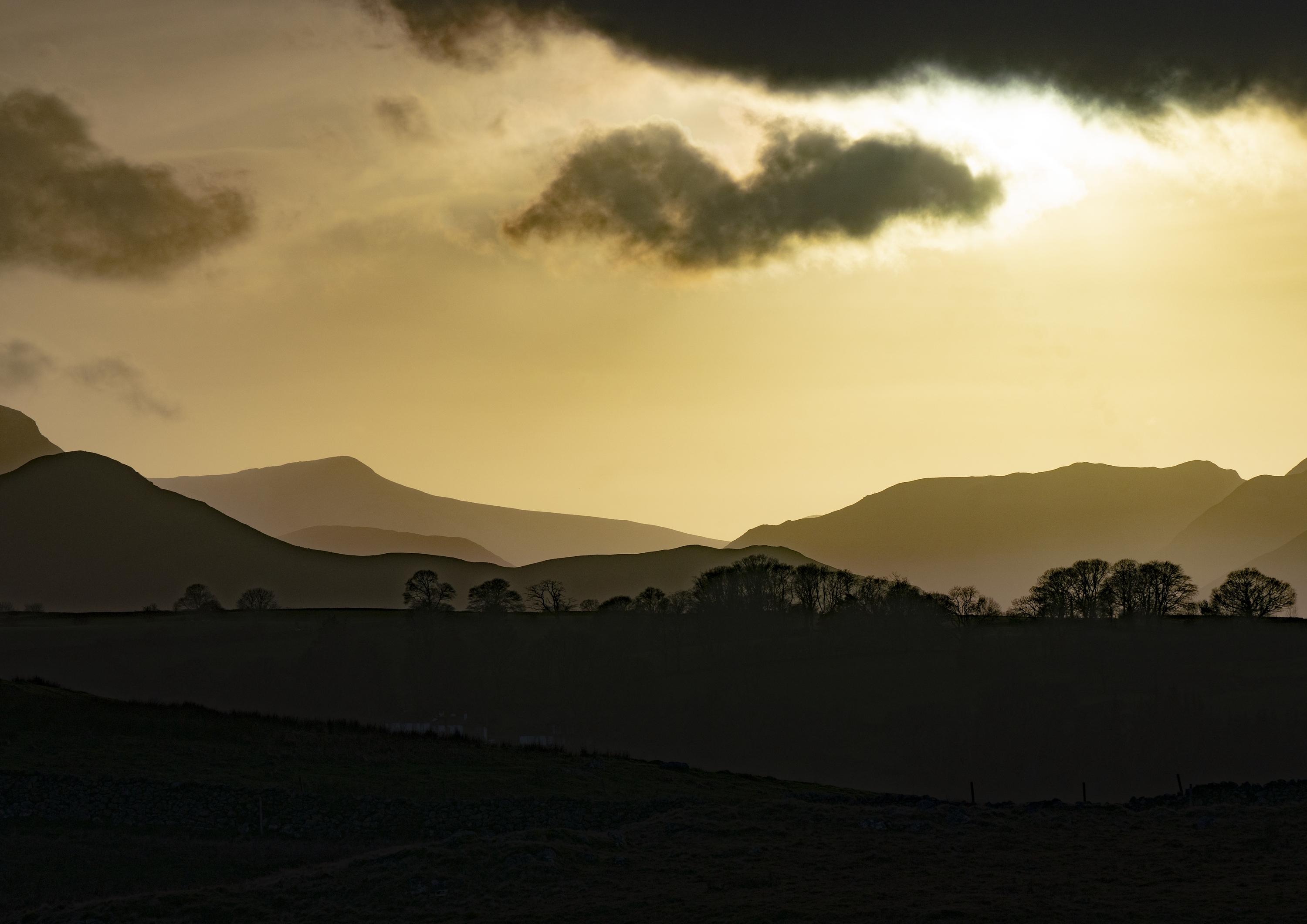 Stillness of Gold - main photograph