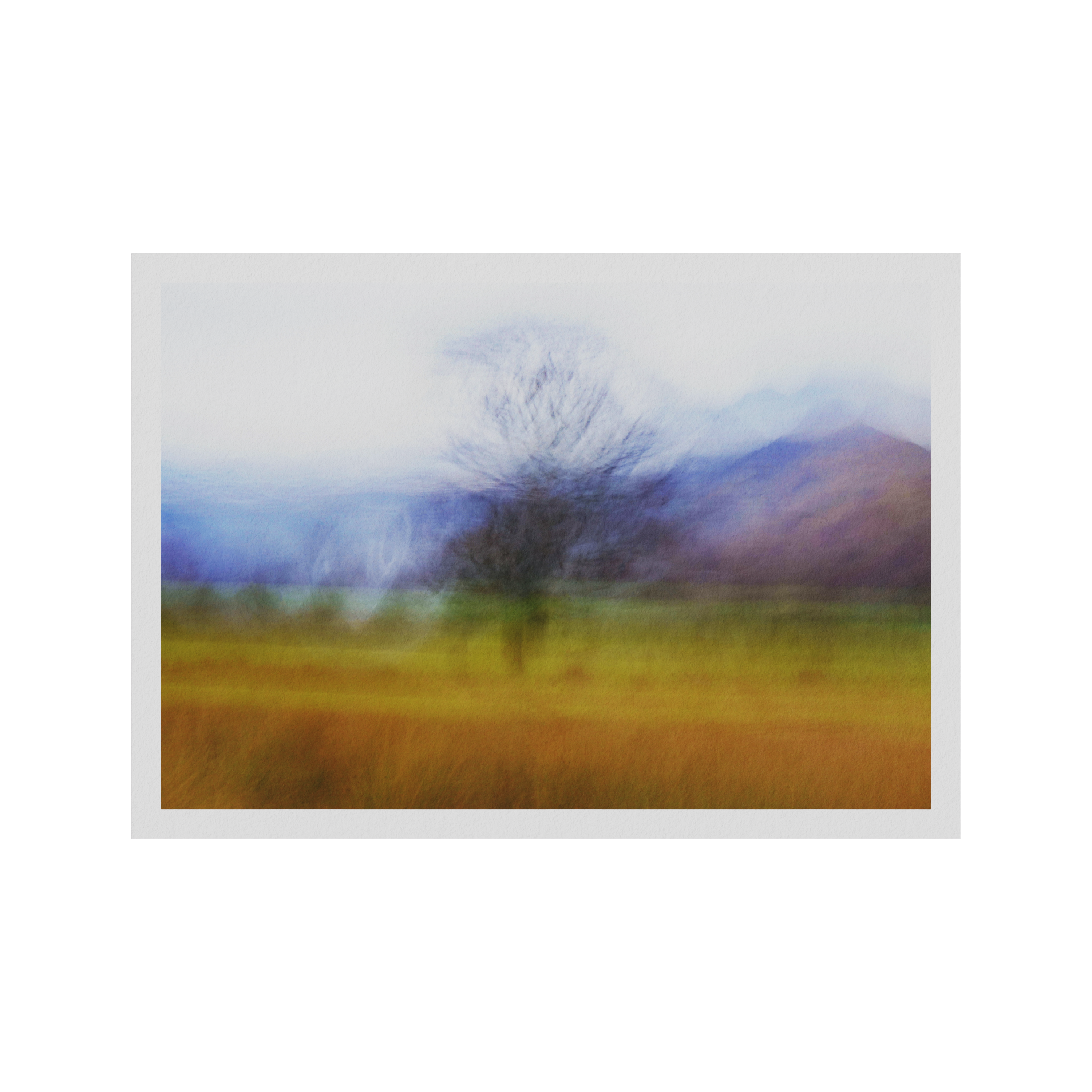 The Lone Tree by Nigel Ryan — detail view 2