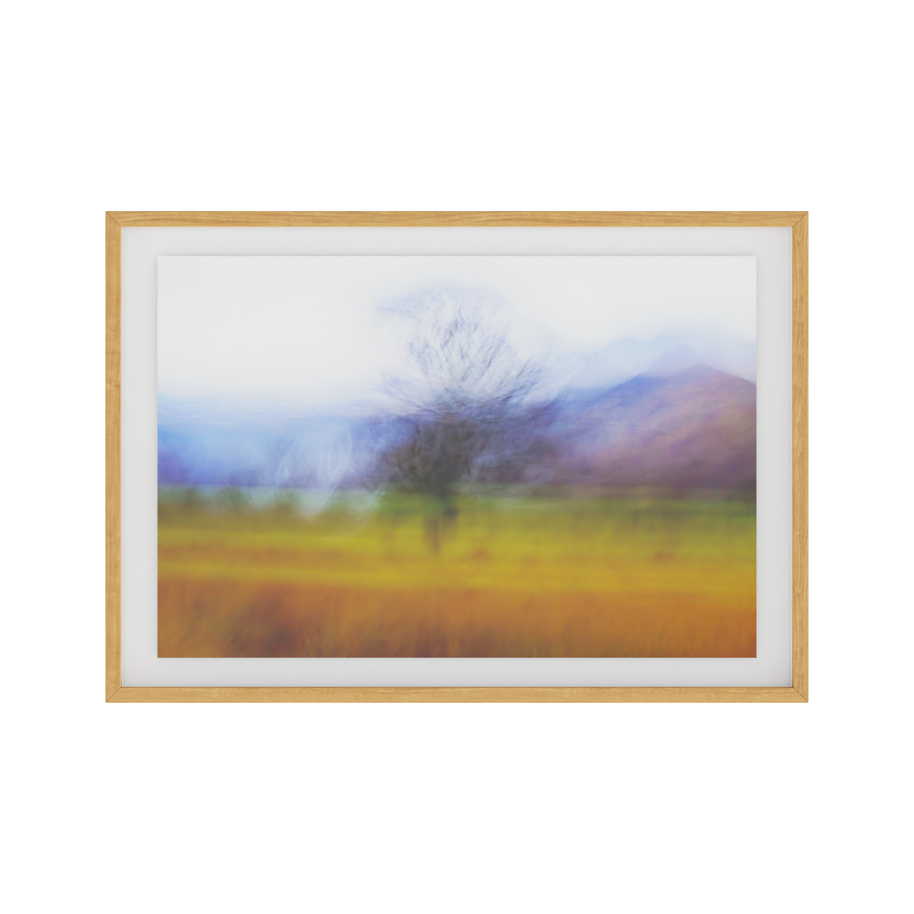 The Lone Tree - EditionX framed view 1