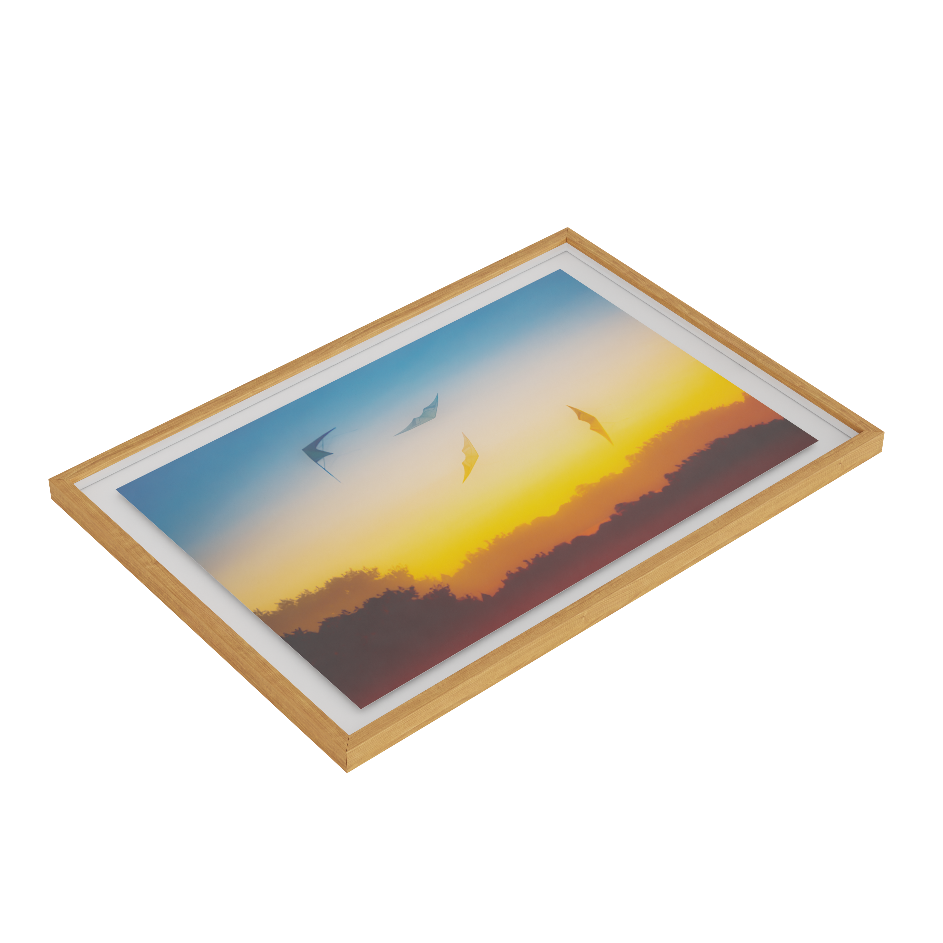 Traces of Flight - EditionX framed view 3