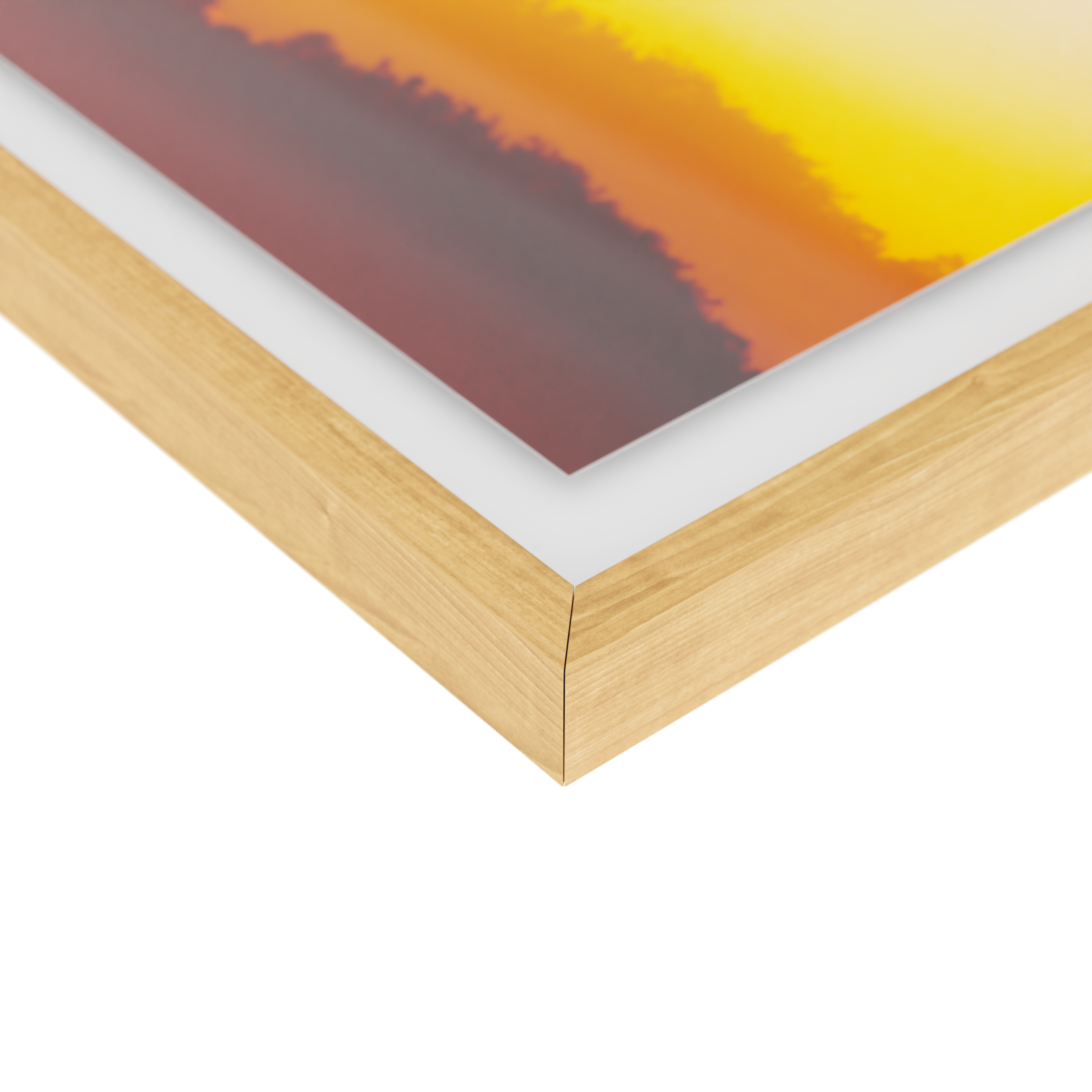 Traces of Flight - EditionX framed view 6
