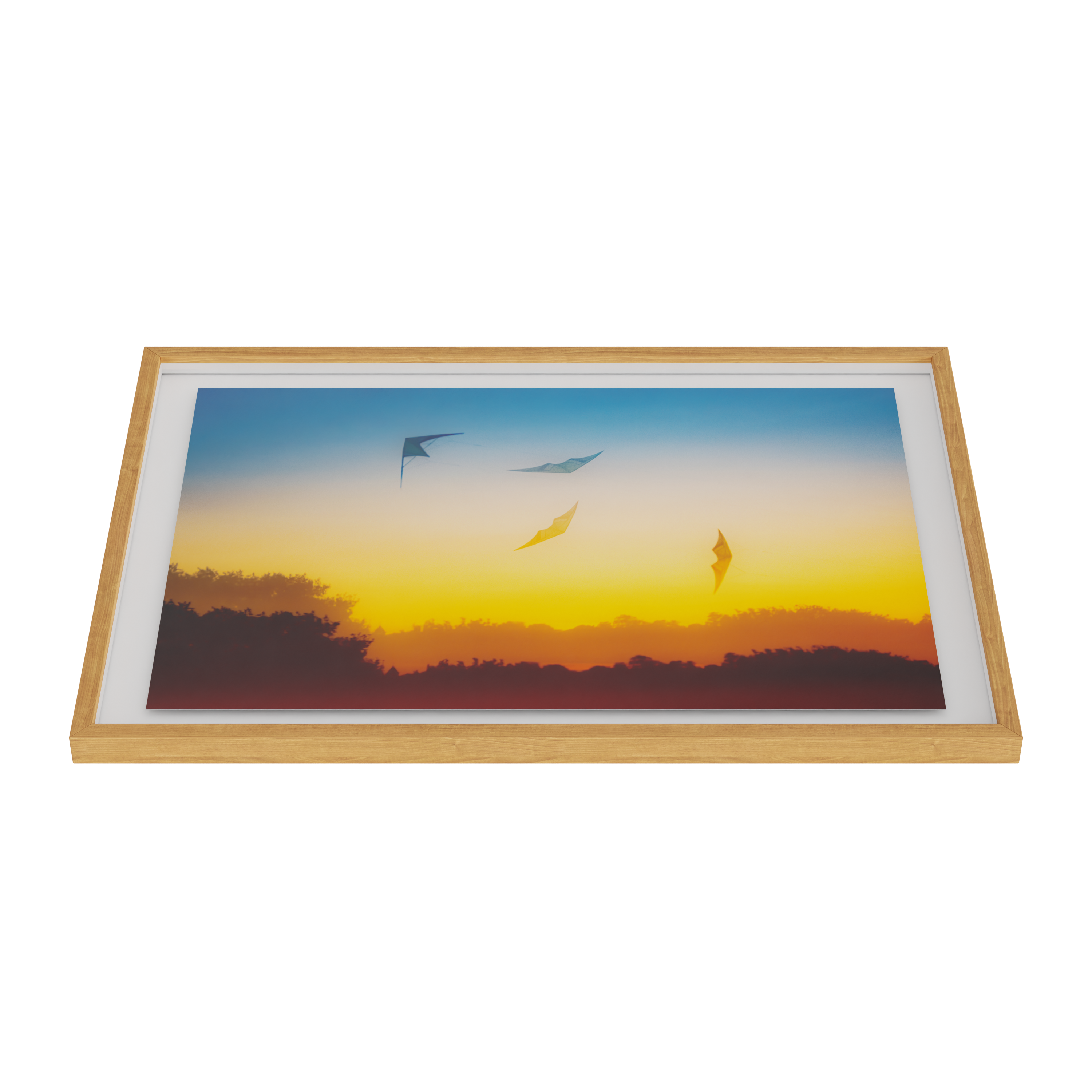 Traces of Flight - EditionX framed view 2
