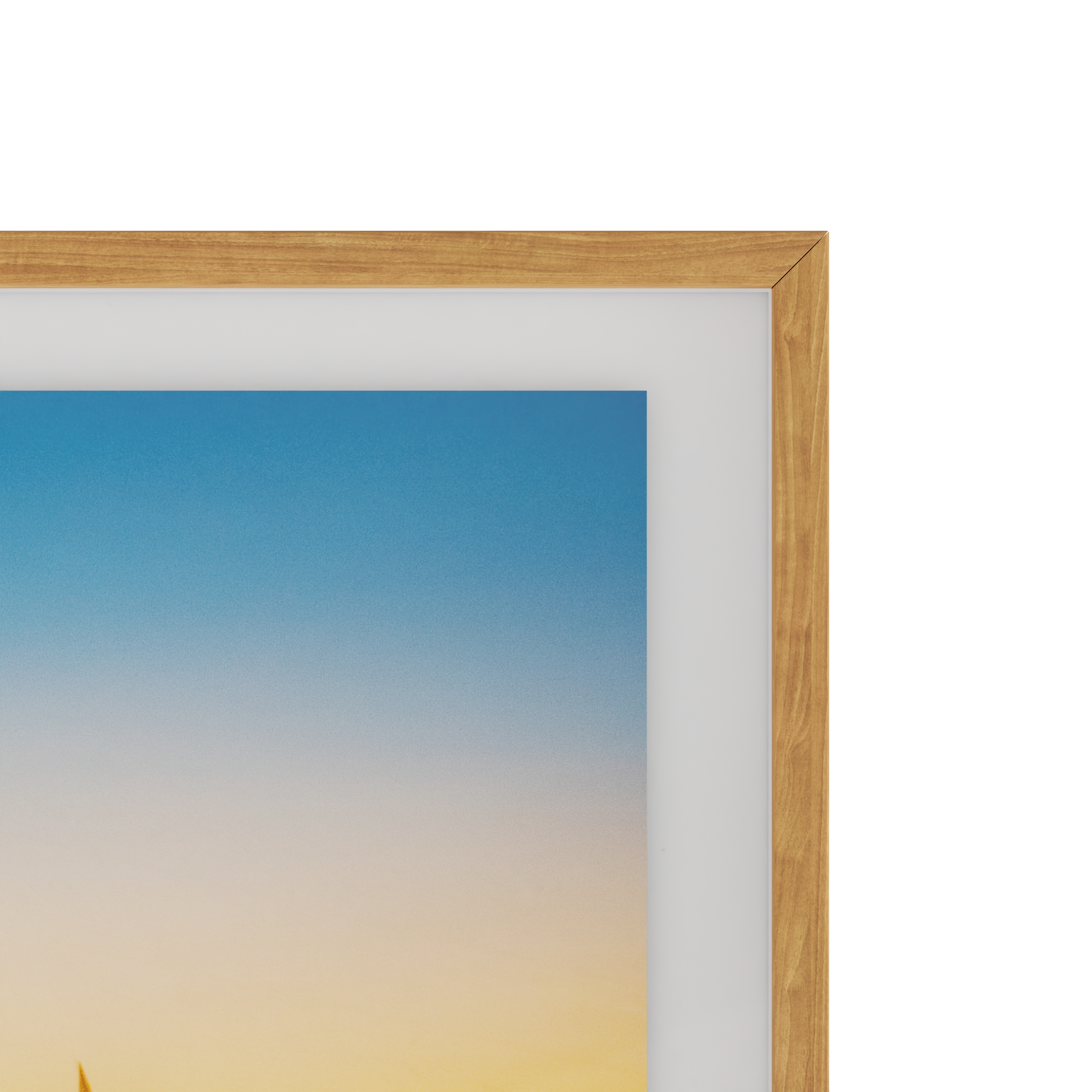 Traces of Flight - EditionX framed view 4